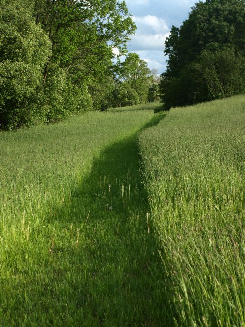 Zdjęcia: Galiny, Warmia i Mazury, szlak spacerowy z mapy jest ...zadbany, POLSKA Zdjęcia: Galiny, Warmia i Mazury, szlak spacerowy z mapy jest ...zadbany, POLSKA