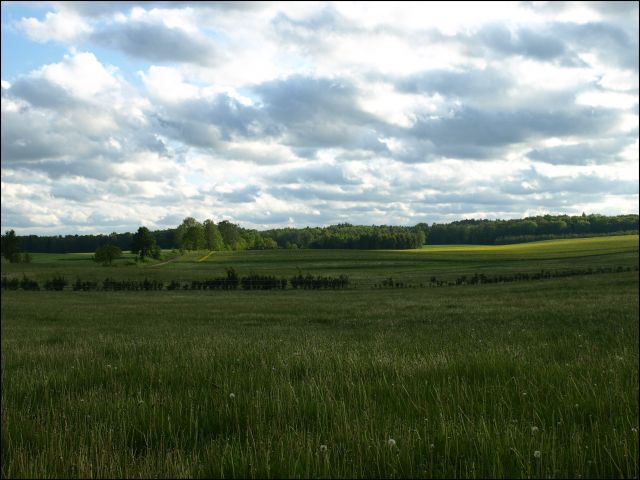 Zdjęcia: Galiny, Warmia i Mazury, widoczek, POLSKA Zdjęcia: Galiny, Warmia i Mazury, widoczek, POLSKA