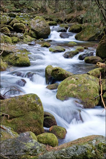 Zdjęcia: Dolina Bystrej, Tatry, Bystra 2, POLSKA Zdjęcia: Dolina Bystrej, Tatry, Bystra 2, POLSKA