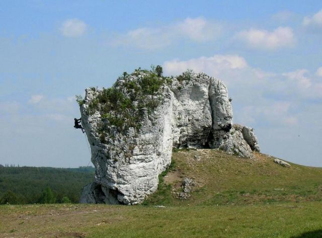 Zdjęcia: Jura Krakowsko-Cżęstochowska, Jura Krakowsko-Cżęstochowska, Jura K-C, POLSKA Zdjęcia: Jura Krakowsko-Cżęstochowska, Jura Krakowsko-Cżęstochowska, Jura K-C, POLSKA