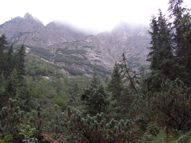 Zdjęcia: Tatry - Dolina Roztoki, małopolskie, widok z Doliny Roztoki, POLSKA Zdjęcia: Tatry - Dolina Roztoki, małopolskie, widok z Doliny Roztoki, POLSKA