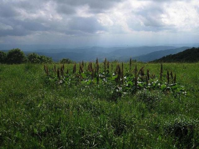 Zdjęcia: Bieszczady, Na granicy, POLSKA Zdjęcia: Bieszczady, Na granicy, POLSKA