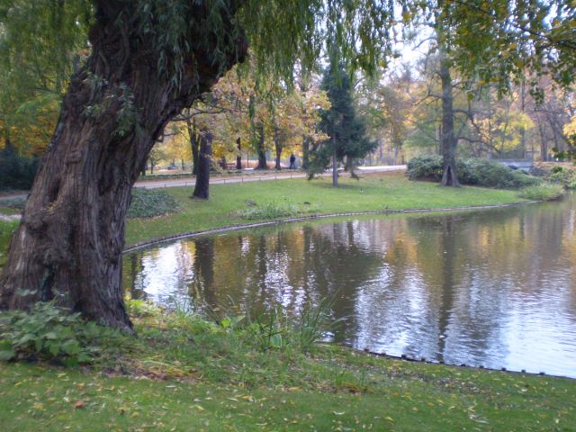 Zdjęcia: Warszawa - Łazienki, mazowieckie, jesień w Łazienkach, POLSKA Zdjęcia: Warszawa - Łazienki, mazowieckie, jesień w Łazienkach, POLSKA