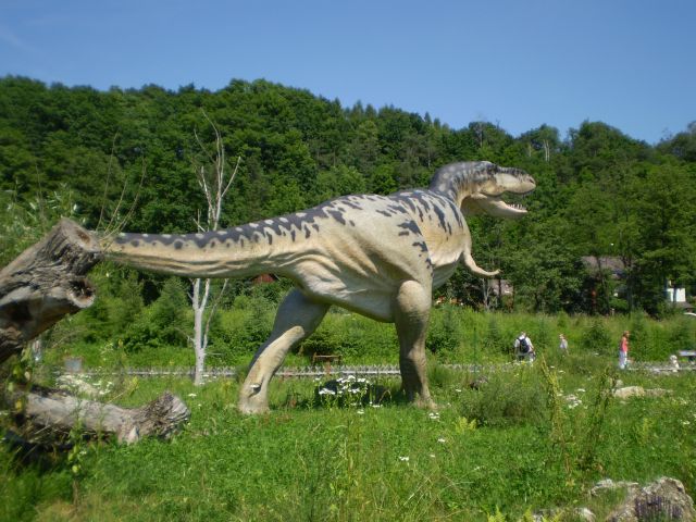 Zdjęcia: Bałtów, świętokrzyskie, Dinozaur, POLSKA Zdjęcia: Bałtów, świętokrzyskie, Dinozaur, POLSKA
