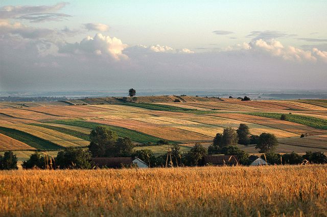 Zdjęcia: Miechów, małopolska, będa żniwa:) 2, POLSKA Zdjęcia: Miechów, małopolska, będa żniwa:) 2, POLSKA