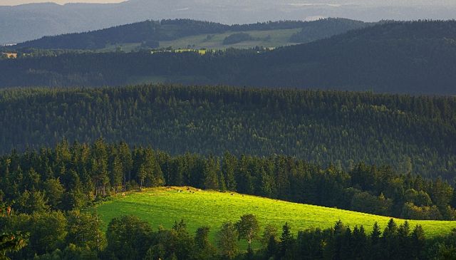 Zdjęcia: Polana, POLSKA Zdjęcia: Polana, POLSKA