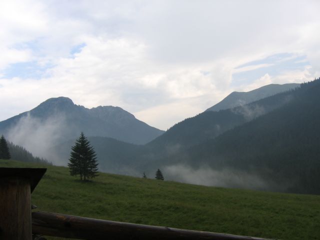 Zdjęcia: Tatry, Tatry, Chochołowska , POLSKA Zdjęcia: Tatry, Tatry, Chochołowska , POLSKA