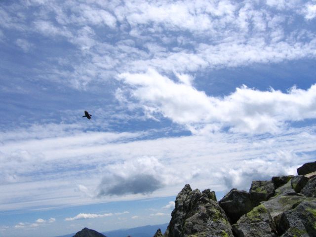 Zdjęcia: Tatry, Tatry, wleciał w kadr;), POLSKA Zdjęcia: Tatry, Tatry, wleciał w kadr;), POLSKA