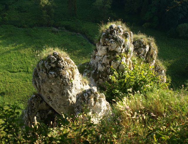 Zdjęcia: Zielony szlak ponad Jaskinią Ciemną, Ojców, też palce, POLSKA Zdjęcia: Zielony szlak ponad Jaskinią Ciemną, Ojców, też palce, POLSKA