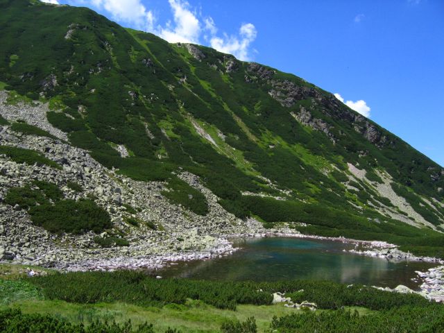 Zdjęcia: Tatry, na szlaku, POLSKA Zdjęcia: Tatry, na szlaku, POLSKA