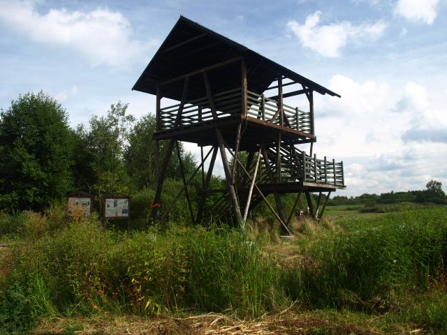 Zdjęcia: Bagno Całowanie, Mazowsze, taki sobie taras widokowy, POLSKA Zdjęcia: Bagno Całowanie, Mazowsze, taki sobie taras widokowy, POLSKA