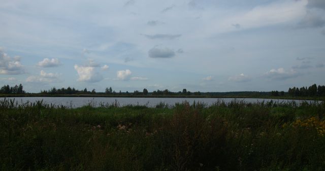 Zdjęcia: Bagno Całowanie, Mazowsze, kawałek wolnej przestrzeni, POLSKA Zdjęcia: Bagno Całowanie, Mazowsze, kawałek wolnej przestrzeni, POLSKA