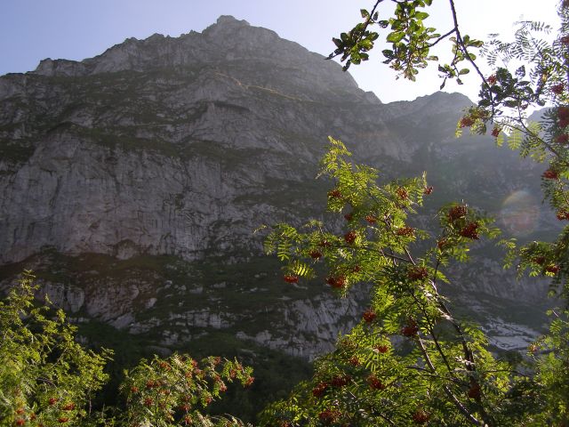 Zdjęcia: Tatry, małopolskie, Dolina Małej Łąki, POLSKA Zdjęcia: Tatry, małopolskie, Dolina Małej Łąki, POLSKA
