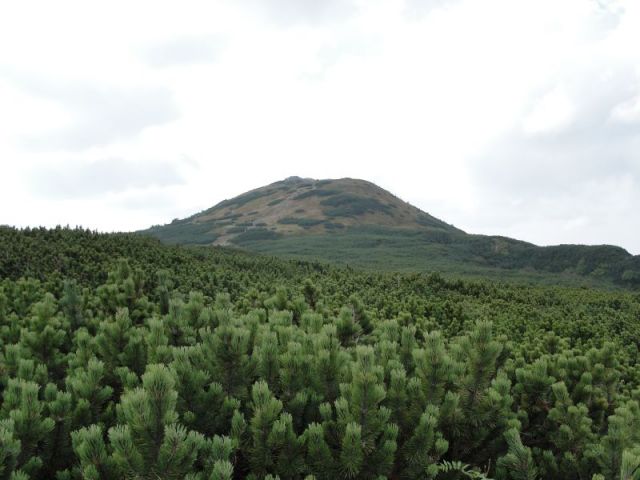 Zdjęcia: Babia Góra, Beskid Żywiecki, Babowa Góra, POLSKA Zdjęcia: Babia Góra, Beskid Żywiecki, Babowa Góra, POLSKA