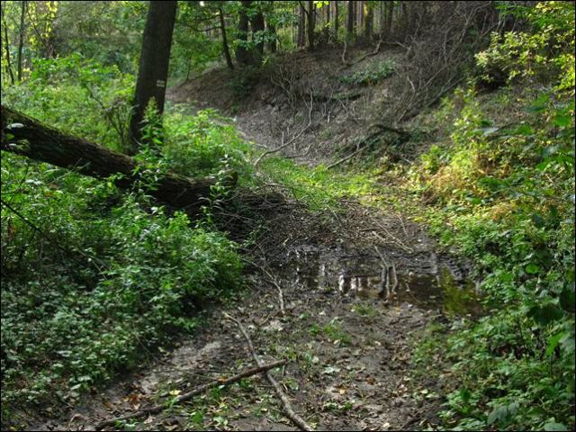 Zdjęcia: Mazowiecki Park krajobrazowy, Mazowsze, Maćkowa woda, POLSKA Zdjęcia: Mazowiecki Park krajobrazowy, Mazowsze, Maćkowa woda, POLSKA