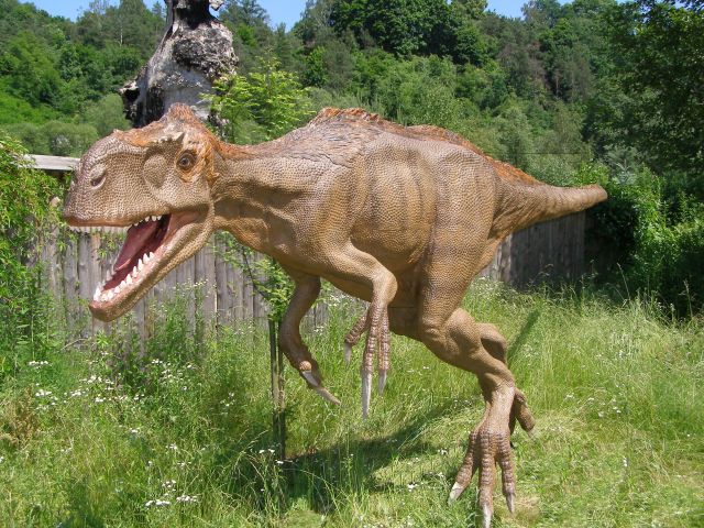 Zdjęcia: Bałtów, świętokrzyskie, Dino, POLSKA Zdjęcia: Bałtów, świętokrzyskie, Dino, POLSKA
