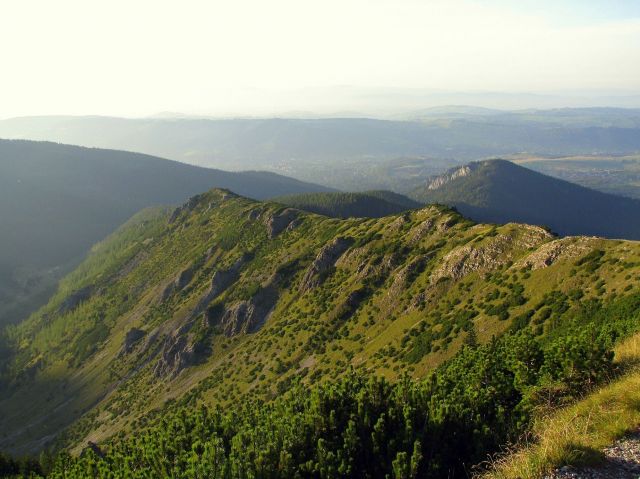 Zdjęcia: TATRY, DROGA W KIERUNKU DOLINY GˇSIENNICOWEJ, POLSKA Zdjęcia: TATRY, DROGA W KIERUNKU DOLINY GˇSIENNICOWEJ, POLSKA
