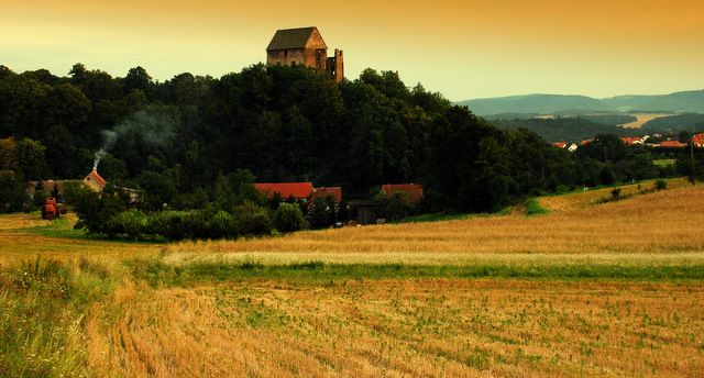 Zdjęcia: rów koło drogi, Dolny Śląsk, Zamek Świny dla Qmoszki, POLSKA Zdjęcia: rów koło drogi, Dolny Śląsk, Zamek Świny dla Qmoszki, POLSKA