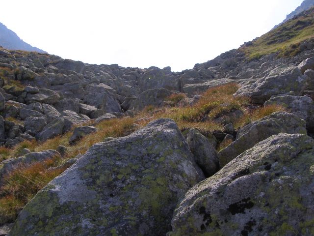 Zdjęcia: Tatry, małopolskie, Górski pejzaż, POLSKA Zdjęcia: Tatry, małopolskie, Górski pejzaż, POLSKA