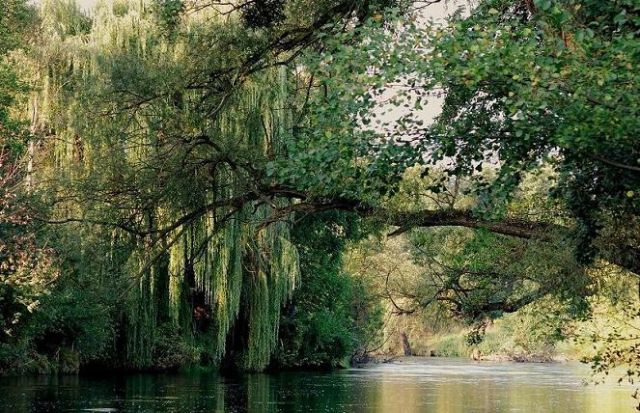 Zdjęcia: Bydgoszcz, kujawsko-pomorski, nad rzeka Brda, POLSKA Zdjęcia: Bydgoszcz, kujawsko-pomorski, nad rzeka Brda, POLSKA