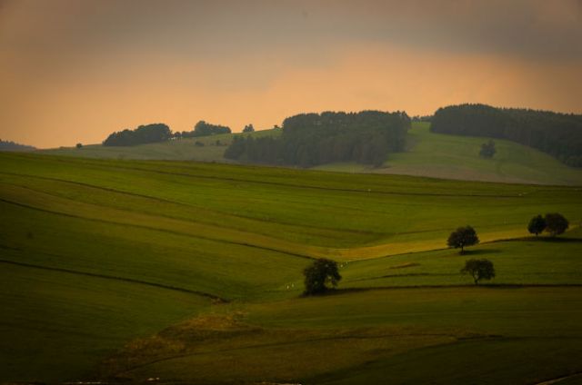 Zdjęcia: W drodze na Hańczową, Beskid Niski, VII, POLSKA Zdjęcia: W drodze na Hańczową, Beskid Niski, VII, POLSKA