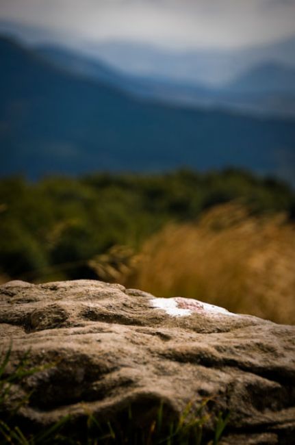 Zdjęcia: Połonina Cyrańska, Bieszczady , IX, POLSKA Zdjęcia: Połonina Cyrańska, Bieszczady , IX, POLSKA