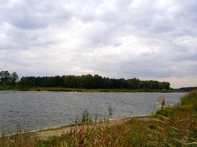 Zdjęcia: Zgniłe Błoto, łódzkie, mokre impresje, POLSKA Zdjęcia: Zgniłe Błoto, łódzkie, mokre impresje, POLSKA