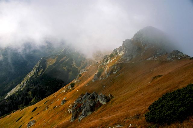 Zdjęcia: Zakopane, Małopolska, ..., POLSKA Zdjęcia: Zakopane, Małopolska, ..., POLSKA