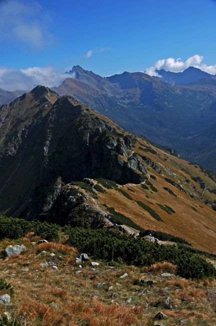 Zdjęcia: Zakopane, Małopolska, ....., POLSKA Zdjęcia: Zakopane, Małopolska, ....., POLSKA