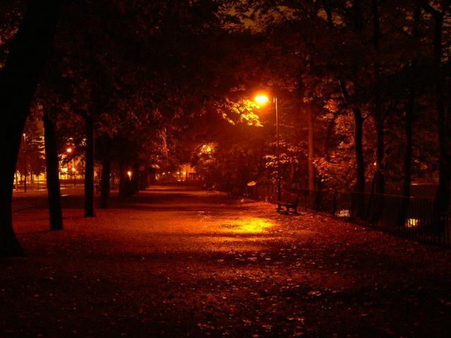 Zdjęcia: WROCŁAW, DOLNY ŚLĄSK, SOBOTNIA,DESZCZOWA NOC WE WROCŁAWIU, POLSKA Zdjęcia: WROCŁAW, DOLNY ŚLĄSK, SOBOTNIA,DESZCZOWA NOC WE WROCŁAWIU, POLSKA