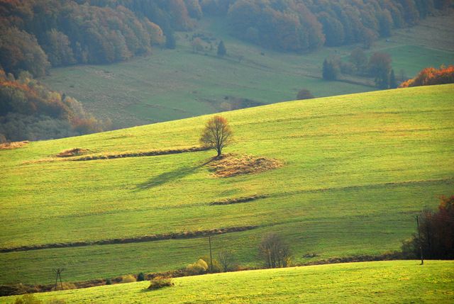 Zdjęcia: okolice Berehów Górnych, Bieszczady, Kolorów mix 1, POLSKA Zdjęcia: okolice Berehów Górnych, Bieszczady, Kolorów mix 1, POLSKA