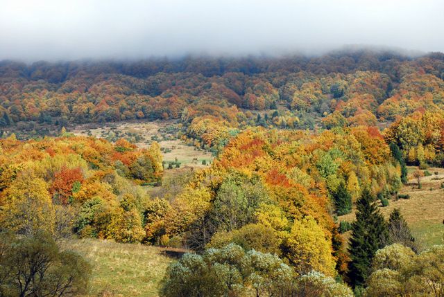 Zdjęcia: Połonina Caryńska, Bieszczady, Kolorów mix 4, POLSKA Zdjęcia: Połonina Caryńska, Bieszczady, Kolorów mix 4, POLSKA