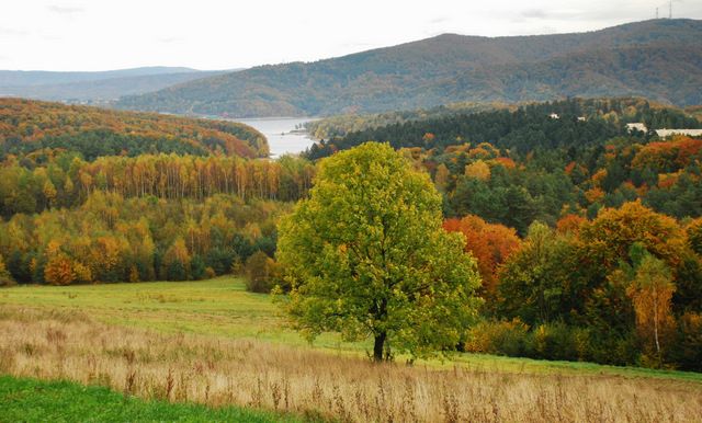 Zdjęcia: Jezioro Myczkowskie, Bieszczady, Kolorów mix 9, POLSKA Zdjęcia: Jezioro Myczkowskie, Bieszczady, Kolorów mix 9, POLSKA
