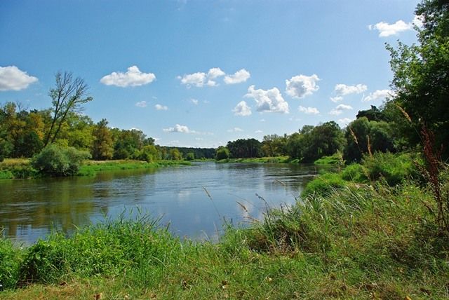 Zdjęcia: Poznań, Wielkopolska, Warta w Puszczykowie, POLSKA Zdjęcia: Poznań, Wielkopolska, Warta w Puszczykowie, POLSKA