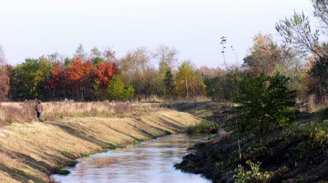 Zdjęcia: Nad rzeką Bobrek, Zagłębie, W samotności z naturą, POLSKA Zdjęcia: Nad rzeką Bobrek, Zagłębie, W samotności z naturą, POLSKA