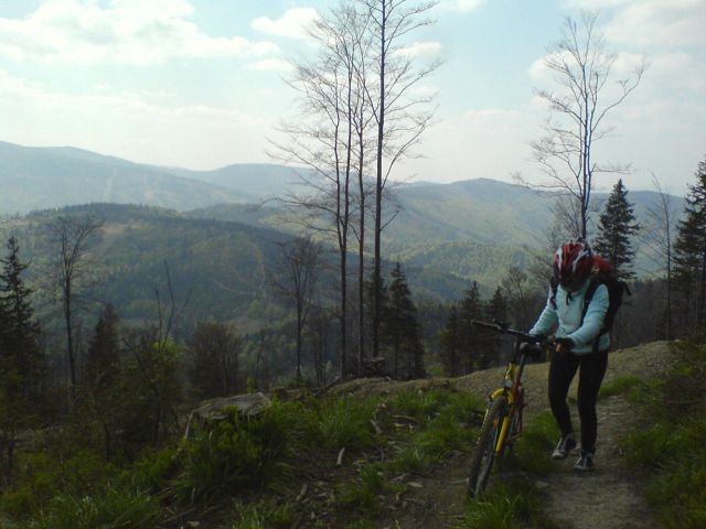 Zdjęcia: w drodze na Klimczok, Beskid Śląski, :), POLSKA Zdjęcia: w drodze na Klimczok, Beskid Śląski, :), POLSKA