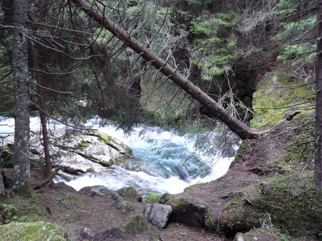 Zdjęcia: Zakopane, Potok, POLSKA Zdjęcia: Zakopane, Potok, POLSKA