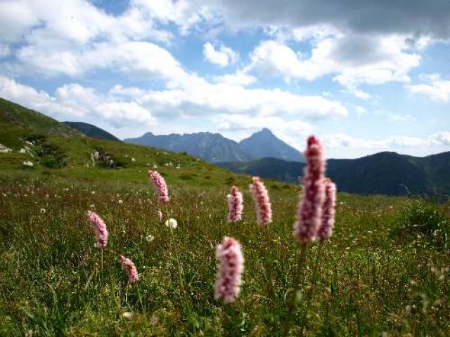 Zdjęcia: Kasprowy Wierch, Zakopane, Na Kasprowym, POLSKA Zdjęcia: Kasprowy Wierch, Zakopane, Na Kasprowym, POLSKA