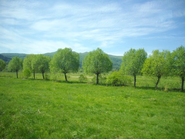 Zdjęcia: Rajskie Bieszczady, Natura, POLSKA Zdjęcia: Rajskie Bieszczady, Natura, POLSKA