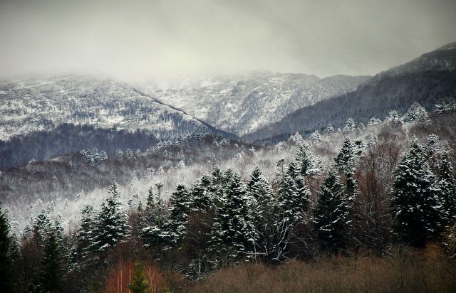 Zdjęcia: Muczne, Bieszczady, Obrazki bożonarodzeniowe I, POLSKA Zdjęcia: Muczne, Bieszczady, Obrazki bożonarodzeniowe I, POLSKA