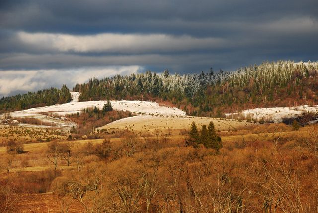 Zdjęcia: Tarnawa, Bieszczady, Obrazki bożonarodzeniowe II, POLSKA Zdjęcia: Tarnawa, Bieszczady, Obrazki bożonarodzeniowe II, POLSKA