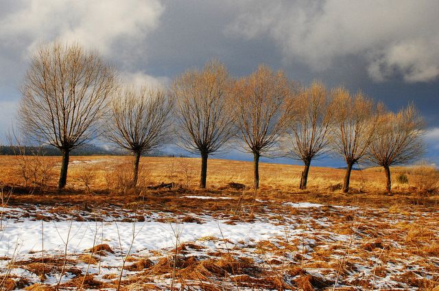 Zdjęcia: Tarnawa, Bieszczady, Obrazki bożonarodzeniowe III, POLSKA Zdjęcia: Tarnawa, Bieszczady, Obrazki bożonarodzeniowe III, POLSKA