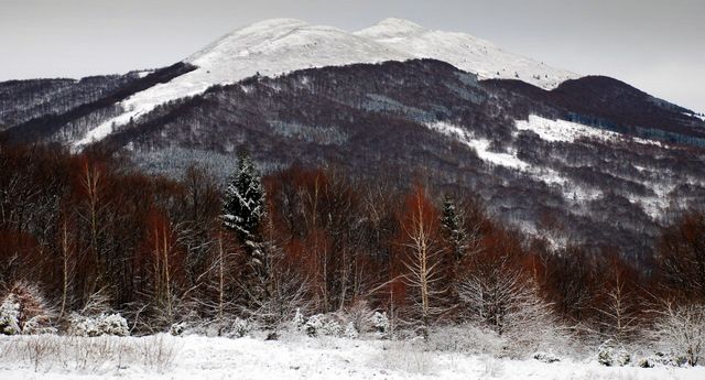 Zdjęcia: Połonina Caryńska, Bieszczady, Obrazki bożonarodzeniowe IV, POLSKA Zdjęcia: Połonina Caryńska, Bieszczady, Obrazki bożonarodzeniowe IV, POLSKA
