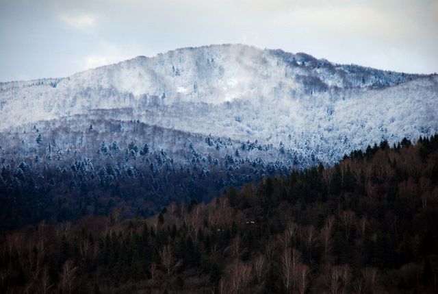 Zdjęcia: Muczne, Bieszczady, Obrazki bożonarodzeniowe V, POLSKA Zdjęcia: Muczne, Bieszczady, Obrazki bożonarodzeniowe V, POLSKA
