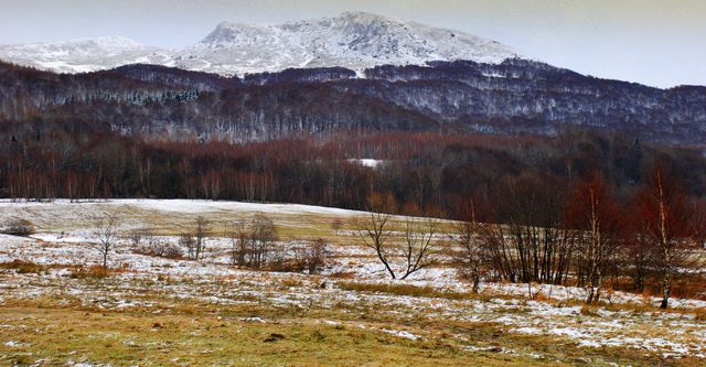 Zdjęcia: Wołosate, Tarnica, Bieszczady, Obrazki bożonarodzeniowe IX, POLSKA Zdjęcia: Wołosate, Tarnica, Bieszczady, Obrazki bożonarodzeniowe IX, POLSKA