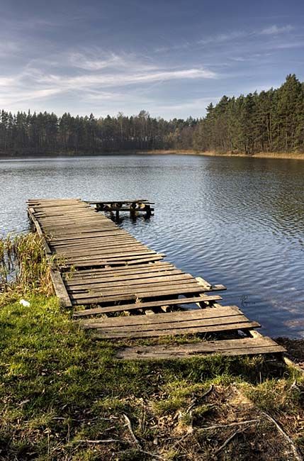 Zdjęcia: ełk, warmińsko-mazurskie, żabie oczko, POLSKA Zdjęcia: ełk, warmińsko-mazurskie, żabie oczko, POLSKA