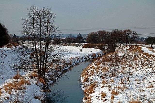 Zdjęcia: Kraków, Małopolska, zima nad Rudawą, POLSKA Zdjęcia: Kraków, Małopolska, zima nad Rudawą, POLSKA
