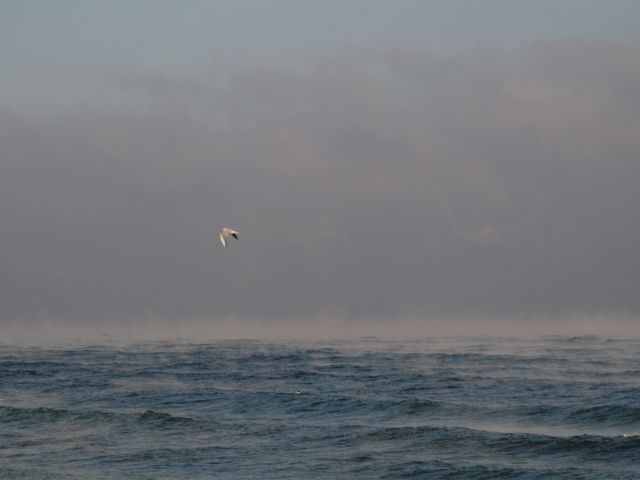 Zdjęcia: Władysławowo, pomorze, plaża władysłąwowo, POLSKA Zdjęcia: Władysławowo, pomorze, plaża władysłąwowo, POLSKA