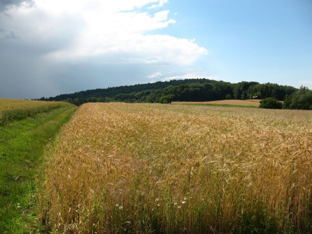Zdjęcia: Góry Świętokrzyskie, Kuźniaki, Rajd, POLSKA Zdjęcia: Góry Świętokrzyskie, Kuźniaki, Rajd, POLSKA