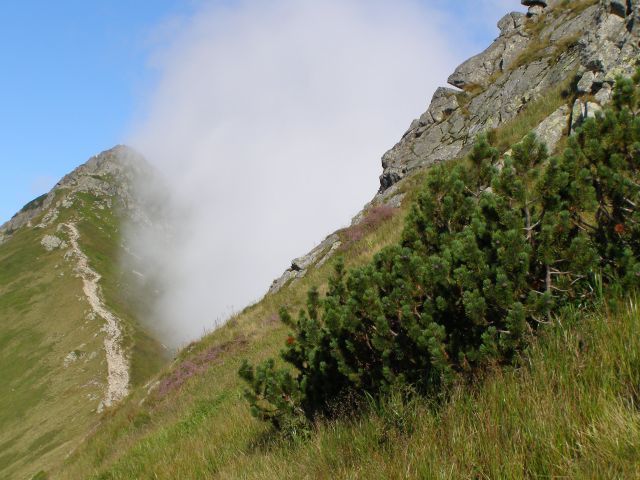 Zdjęcia: Tatry, małopolskie, wysoko na poziomie chmur, POLSKA Zdjęcia: Tatry, małopolskie, wysoko na poziomie chmur, POLSKA
